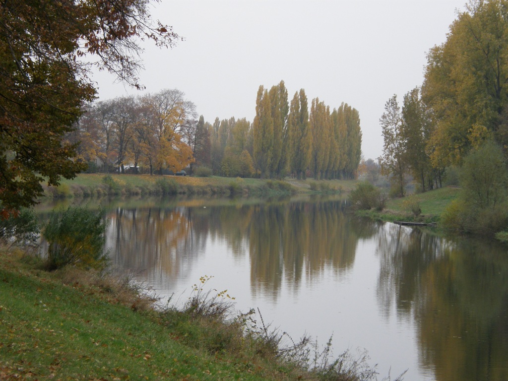  Labe  1.jpg