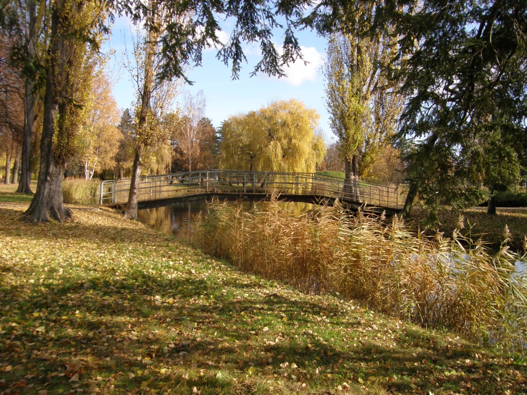 Šimkovy.jpg