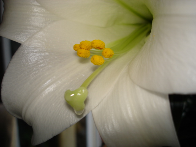 A 005.jpg