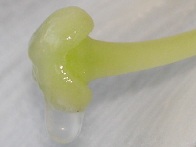 A 027.jpg