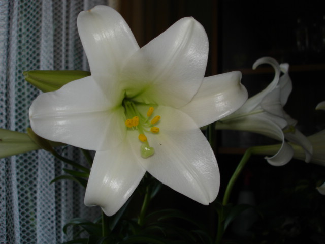 A 028.jpg