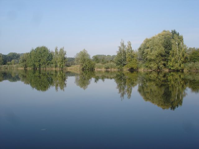 stíny ve vodě, (1).jpg
