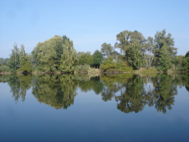 stíny ve vodě,.jpg
